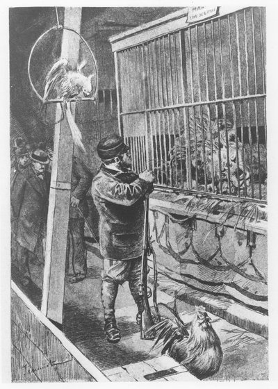 Illustrazione da 